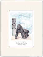 St. Louis Zoo Gorilla ArtCard
